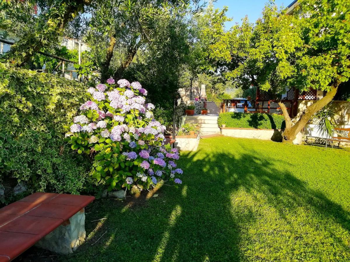 B&B Maison Villa Vittorio Avella Zewnętrze zdjęcie