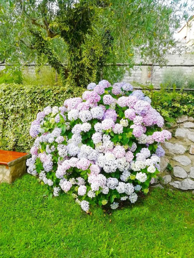 B&B Maison Villa Vittorio Avella Zewnętrze zdjęcie